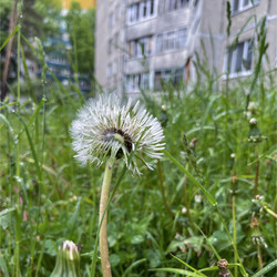 Similar image 22198231