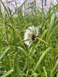 Similar image 22198232