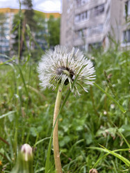 Similar image 22198233