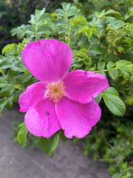 Similar image 22198234