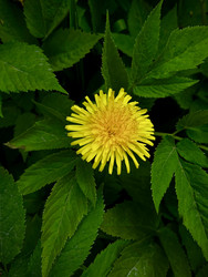 Similar image 22201260