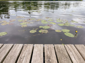 Similar image 22198253