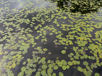 Similar image 22198256