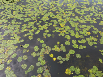 Similar image 22198259