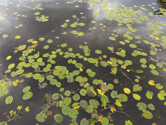 Similar image 22198260