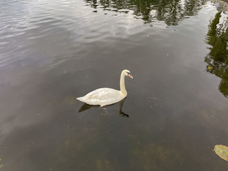 Similar image 22198261