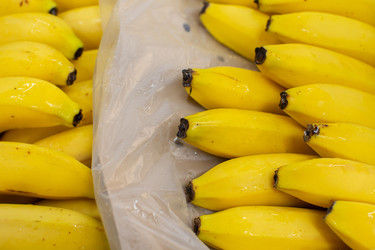 Similar image 22196246