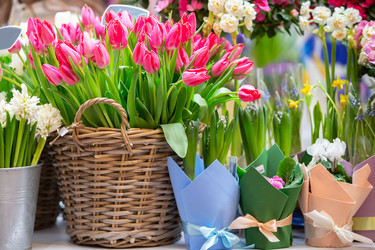 Similar image 22196295