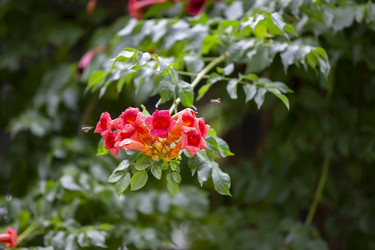 Similar image 22196309