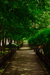 Similar image 22199528