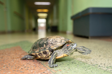 Similar image 22195801