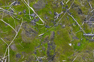 Similar image 22195824