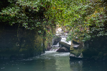 Similar image 22195834