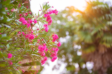 Similar image 22195842