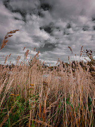 Similar image 22201380