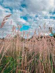 Similar image 22201382