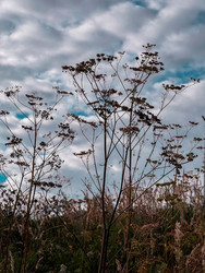 Similar image 22201383