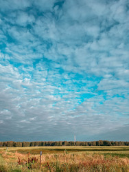 Similar image 22201386