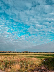 Similar image 22201387