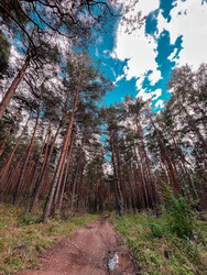 Similar image 22201390