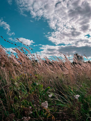 Similar image 22201393