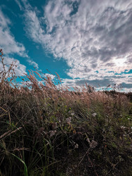 Similar image 22201394