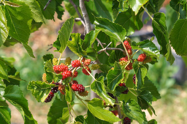 Similar image 22204310