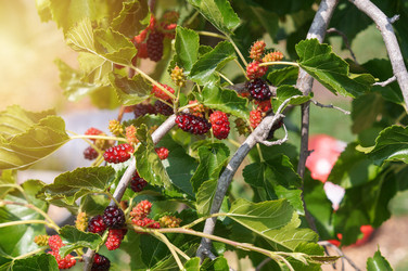 Similar image 22204311