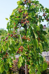 Similar image 22204312