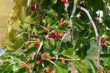 Similar image 22204313