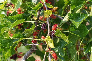 Similar image 22204314