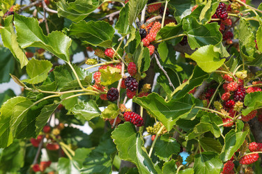 Similar image 22204315