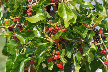 Similar image 22204316