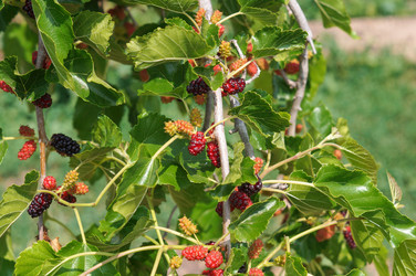 Similar image 22204317