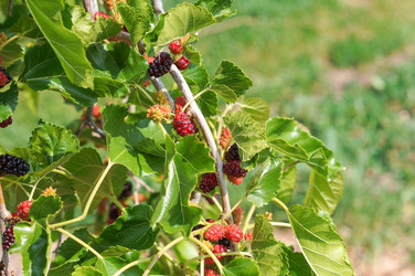 Similar image 22204344