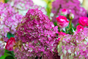 Similar image 22195851