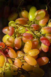 Similar image 22195856