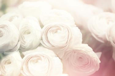 Similar image 22195877