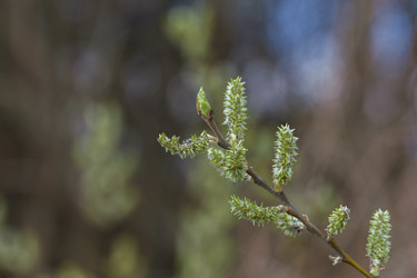 Similar image 22196315