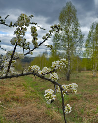 Similar image 22202105