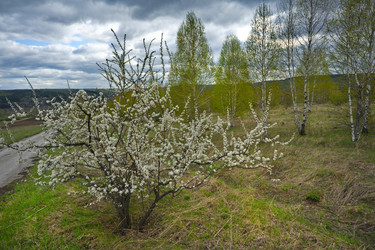 Similar image 22202106