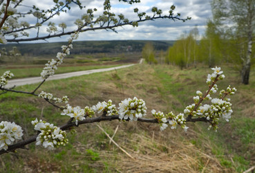 Similar image 22202107