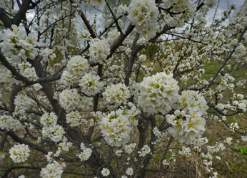 Similar image 22202108