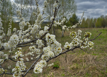 Similar image 22202109