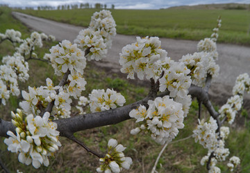 Similar image 22202110