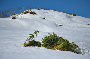 Similar image 22199532