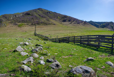 Similar image 22196056