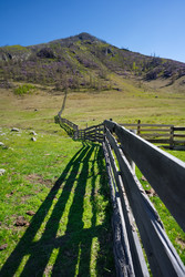 Similar image 22196057