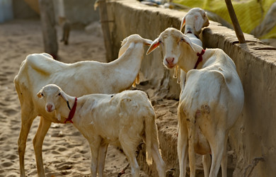 Similar image 22202111