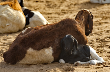 Similar image 22202113